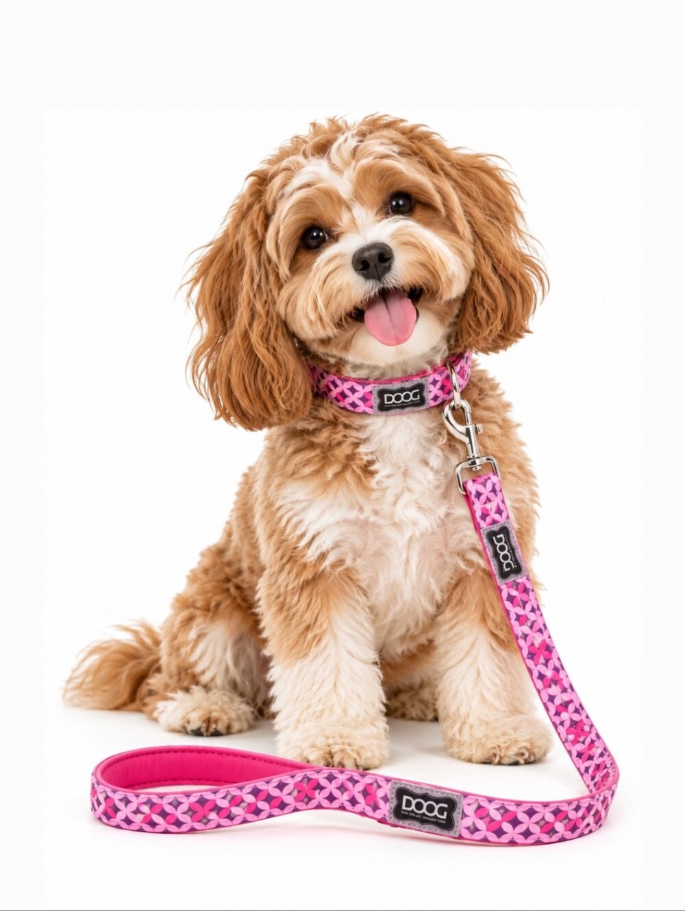 DOOG Neoprene Toto Pink Geometric Dog Leash Black Small‎ 51-in long 1/2-in wide